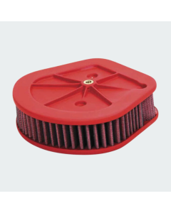 HD M8 SOFTAIL '18 AIR FILTER PN: H&D 29400248
